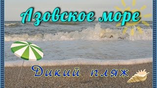 Азовское море. Дикий пляж.