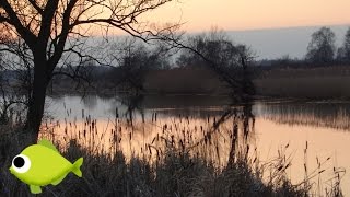 Boczny trok - budowa zestawu, pogawędki nad wodą