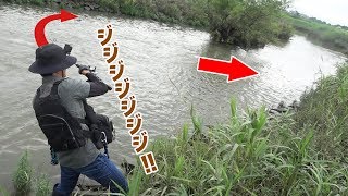 こんな所で「どうしようもない魚」が食いついた‼