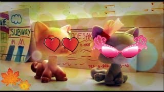 ♥ Littlest Pet Shop: Красотка (1 сезон 9 серия) ♥