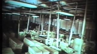 Фильм об ОАО "Мостовдрев" 90-х годов. Часть первая.