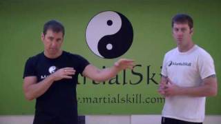 7 Star Mantis Kung Fu: Basic Kung Fu Punching Techniques