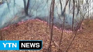 음주 뒤 산불 낸 40대 입건...신고자 행세 덜미 / YTN