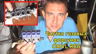 Чистка газовых форсунок OMVL #деломастерабоится