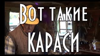 Вот такие КАРАСИ