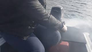 Обкатка мотора Хайди 9.8 с лодкой 310.