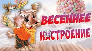 Прикольное видео поздравление с 8 Марта. Поздравление мультфильм для девочек с днем 8 марта