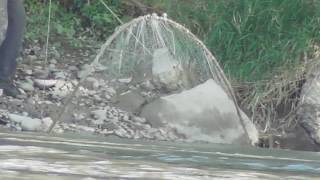 Fishing with net lift and lack of empathy and awareness