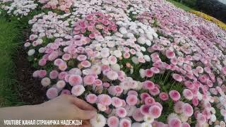 Английские сады в Мае