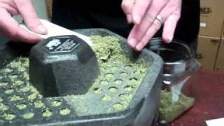 Cones Coolbox 60 Demonstration