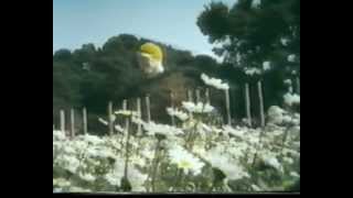In the footsteps of Pheidippides (1st Spartathlon - 1983)