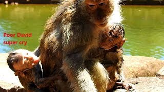 Million Pity & Sad !!! See Poor baby David cry loudly by Blacky Not allow, Mother's David careless.