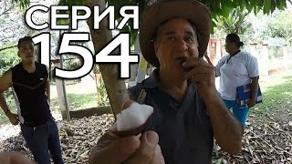 ПАНАМСКАЯ ФЕРМА В ДЖУНГЛЯХ // КРУГОСВЕТКА - СЕРИЯ 154
