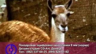 Покадровая оцифровка кинопленок 8 мм (норма) в Донецке.
