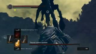 Dark Souls:Remastered Черный Дракон Каламит