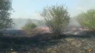 Incendiu de vegetație in raionul Ungheni