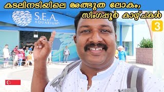 Sea Aquarium in Singapore|സിംഗപ്പൂരിലെ കടലിനടിയിലെ അത്ഭുത ലോകം കാണാം|Singapore tour |Harees Ameerali