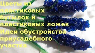 Цветы из пластиковых бутылок . Идеи для дачи .