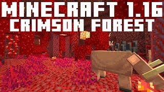Minecraft 1.16 - CRIMSON FOREST! (1.16 First Look!)