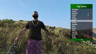 GTA 5 Online PC 1.46 - The Umbrella Mod Menu V9.6 *Undetected (FREE DOWNLOAD)