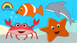 The Names Of Sea Creatures | Fun Learning For Small Children In English