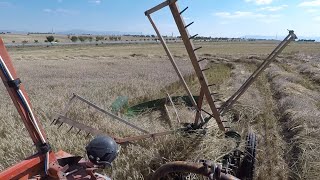 Eski Yöntemle Arpa Biçimi - Kanatlı Orak Makinası