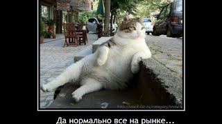 Мнение профессионалов  Александр Резвяков