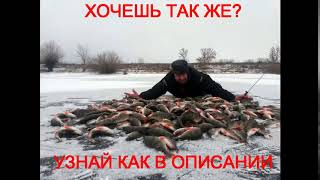 прикормка для язя