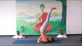 Beginner's Yoga Class 20 Minutes
