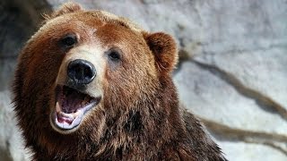 Добил 79 ранг на коробках за варбаксы)