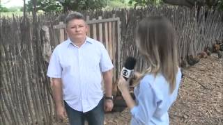 Criação de galinha caipira em Catolé do Rocha 03-12-2014