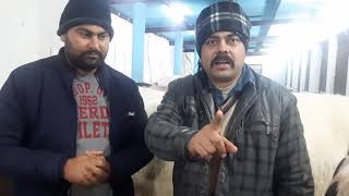 बाहर से आने वाले किसान भाई कैसे लूट रहे हैं ??पंजाब में देखिए इस वीडियो में और अपने विचार दीजिए