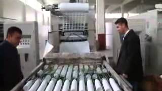 Termoformadora para copos plásticos