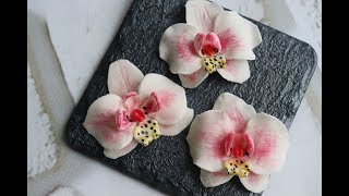 Как сделать орхидею из мастики без специальных вырубок