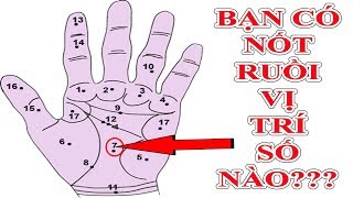 Xem "Vị Trí Nốt Ruồi Lòng Bàn Tay" Nói Gì Về Tương Lai SƯỚNG KHỔ Của Bạn Kết Quả thật Bất Ngờ