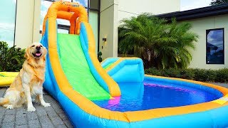 DOG GETS PERSONAL WATER PARK FOR THIRD BIRTHDAY