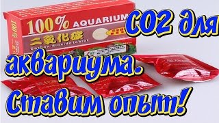 Углекислый газ для растений в аквариуме из таблеток! Проводим эксперимент