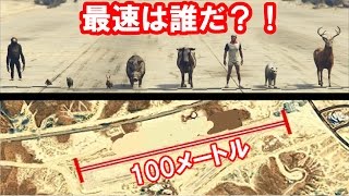 【人間vs動物】100m走最速は誰？！異種混合アニマルレース GTA5
