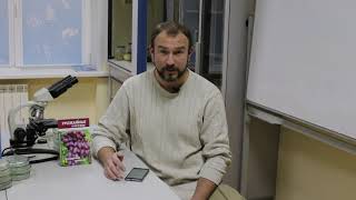 Обзор журнала Урожайные сотки № 1 за 2019 год