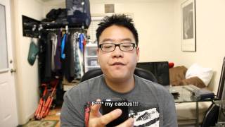 Vlog #5: Your YOUTUBE COMMENTS!