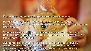 Итальянка завещала полтора миллиона евро коту