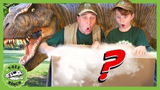Search for New Dinosaur Theme Park! GIANT Mystery Box with T-Rex Dinosaurs for Kids! T-Rex Ranch