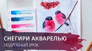 Акварельный зимний сюжет "Снегири". Подробный онлайн урок по акварельной живописи.
