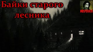 Истории на ночь - Байки старого лесника