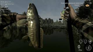 Fishing Planet - как ловить ильную рибу на реке Мадвотер, Миссури