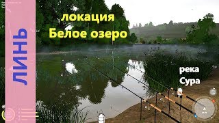 Русская рыбалка 4 - река Сура - Линь на озере