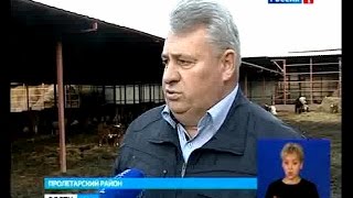 город Пролетарск: о хозяйстве КФХ Жданов А.В.