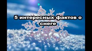 5 интересных фактов о снеге