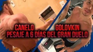 ¡Canelo Álvarez y Gennady Golovkin... Casi cerca del peso!