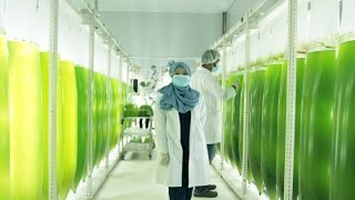 PROSES PRODUKSI ZAWARA COSMETICS & WELLNESS